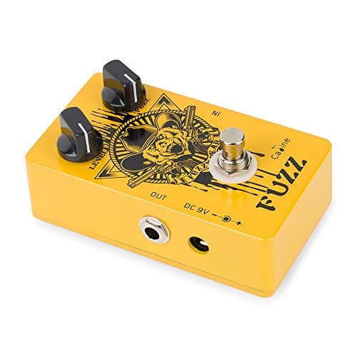 Caline Fuzz Bear