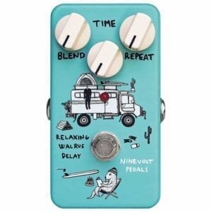 Animals Pedal Relaxing Walrus Delay