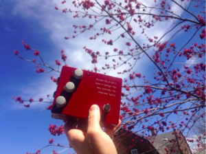 Photo credit: Bill Finnegan/Instagram